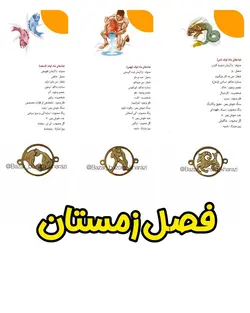 پلاک استیل ماه تولد دو طرفه طلایی