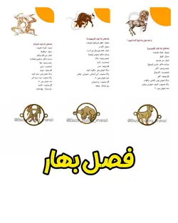 پلاک استیل ماه تولد دو طرفه طلایی