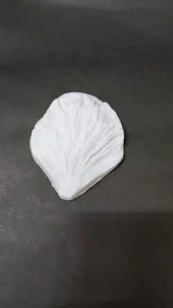 ست کاتر و وینر پیونی