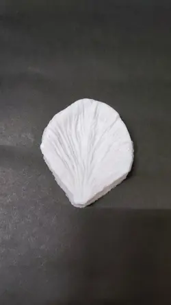 ست کاتر و وینر پیونی