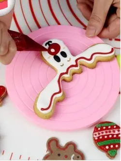 صفحه گردون  کوچک کوکی