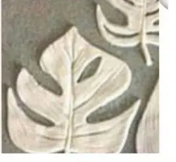 مولد برگ پهن بزرگ