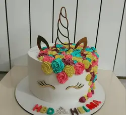 ست تاپر یونیکورن