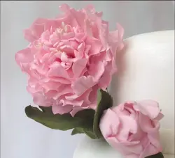 کاتر 4 عددی گل پیونی