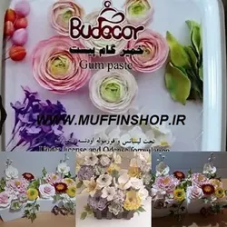 خمیرگامپیست بودکور500 گرمی