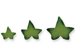 کاتر فشاری برگ مو