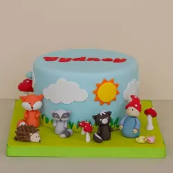 کاتر خورشید وچمنزار