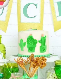 کاتر پلاستیکی 3تیکه کاکتوس