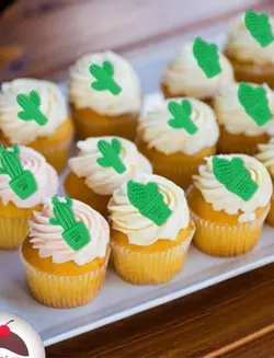 کاتر پلاستیکی 3تیکه کاکتوس