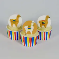 کاتر لاما استوایی