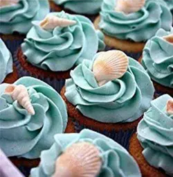 مولد صدف دریایی مختلف