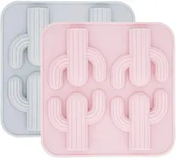 قالب سیلیکونی کاکتوس