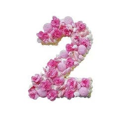 کاتر بزرگ عدد 2