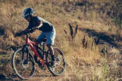 دوچرخه جاینت مدل (۲۰۲۱) XTC JR 24