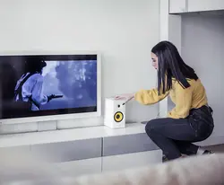 اسپیکر ادیفایر مدل r1080bt