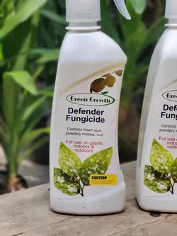 اسپری قارچ کش