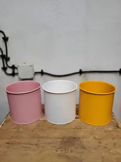 زاموفیلیا  + گلدان فلزی پورتی