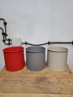 زاموفیلیا  + گلدان فلزی پورتی