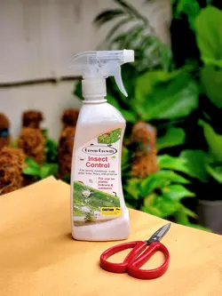 اسپری حشره کش