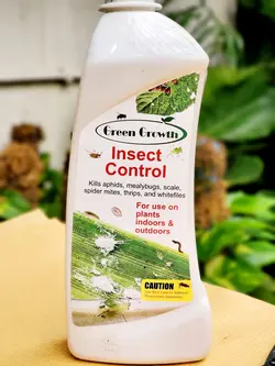 اسپری حشره کش