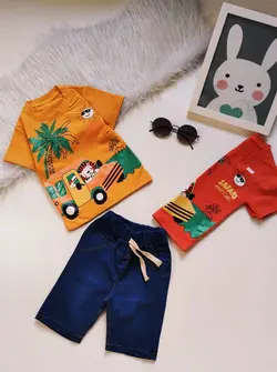 سافاری کد2012