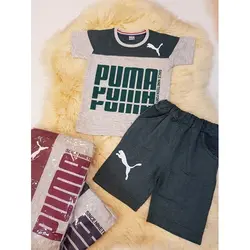 1784-PUMA