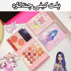 پلت سایه کیفی انی لیدی همراه رژ و گلیتر و رژگونه و هایلایتر (ANYLADY MAKE UP PALETTE MODEL : 8624DR)