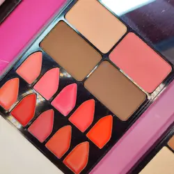 پلت کیفی چندکاره سایه و رژ و هایلایتر و رژگونه انی لیدی (ANYLADY MAKE UP PALETTE MODEL : 8663T)