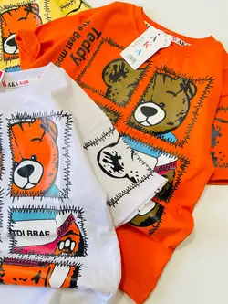 تیشرت تک اسپرت تدی پازلی