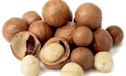 ماکادمیا - آجیل و خشکبار ماهتیسا