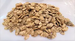 تخمه کدو شویدی - آجیل و خشکبار ماهتیسا