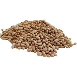 سویا - آجیل و خشکبار ماهتیسا