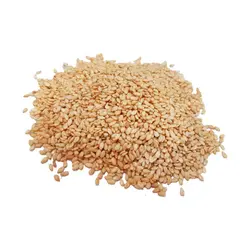 کنجد - آجیل و خشکبار ماهتیسا