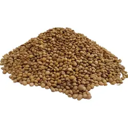 عدس بو داده - آجیل و خشکبار ماهتیسا