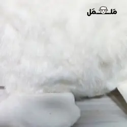 عروسک خرگوش دستمال گردن دار | فروشگاه اینترنتی ململ