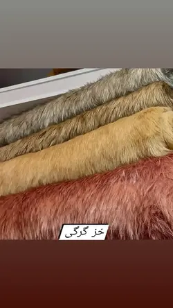 پالتو خز گرگی اورجینال ترک