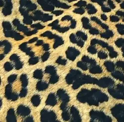 پالتو پلنگی زنانه ترک