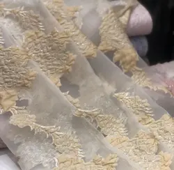 مانتو ژاکارد سفید با گلهای صورتی ایتالیایی