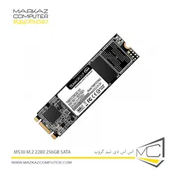 اس اس دی تیم گروپ MS30 M.2 2280 256GB SATA - فروشگاه آنلاین مرکز کامپیوتر