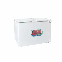 قیمت و خرید فریزر برفاب صندوقی مدل CF2D-310L - فروشگاه متین