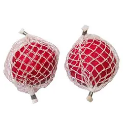 شوره گیر معجزه گر