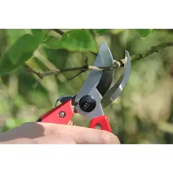 خرید و قیمت قیچی باغبانی اصل ژاپن آرس CB-9 قیچی هرس سبک وزن ARS