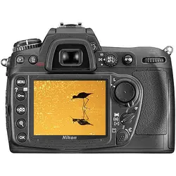 دوربین عکاسی نیکون Nikon D300 body