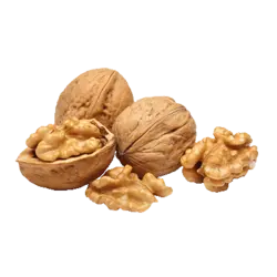 گردو اقتصادی