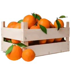 پرتقال ممتاز درجه 1