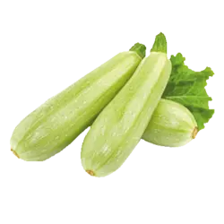کدو خورشتی