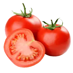 گوجه فرنگی اقتصادی