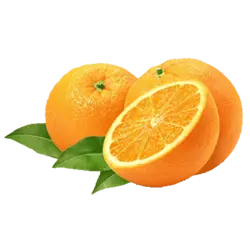 پرتقال تامسون