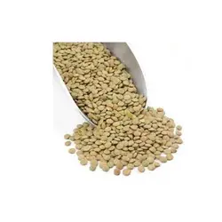 عدس خارجی فله یک کیلوگرمی