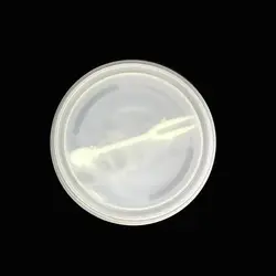 کمپوت آناناس 227 گرمی